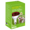 IR-lamp 150W gehard glas  rood