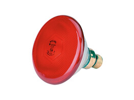 Lampe IR Philips economique rouge  150W
