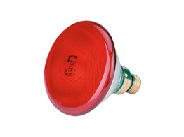 Economy Infrared Lamp 100 W  red  orig. Philips