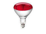 Lamp van gehard glas  Philips  150W 240V  rood
