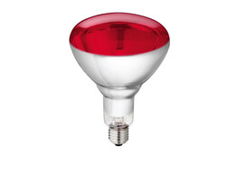 Lamp van gehard glas  Philips  250W 240V  rood