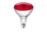 Lamp van gehard glas  Philips 