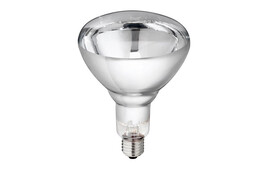 Lamp van gehard glas  Philips  240V  helder