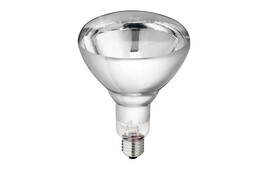Hard Glas Infrared Lamp 250 W  transparent  orig. Philips