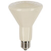 Ceramic Heat Emitter 60 W