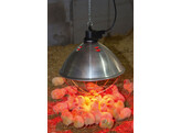 Protecteur de lampe infrarouge O35cm  cable 5m