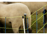 Onderst.paal v. weide-