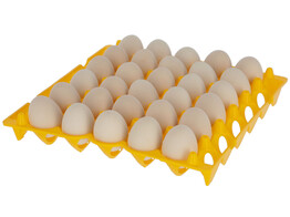 Eierhouder van kunststof voor 30 eieren