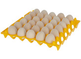 Eierhouder van kunststof voor 30 eieren