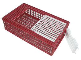 Poultry Transport Box  plastic 95 x 57 x 24 cm