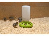 Plastic Poultry Auto-feeder 1 ltr.
