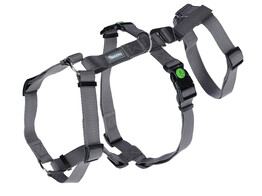Panic Harness Miami  grey  15 mm  38-52 cm