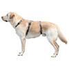 Panic Harness Miami  grey  20 mm  48-70 cm