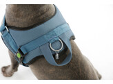 Harness Maestro 2.0  petrol 30mm x 72-103cm  w ident. tube