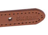 Collier Phoenix bleu  40-55cm  9mm