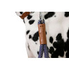 Laisse poignee Phoenix bleu/marron  35cm  14mm