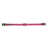 Collar Colorado  fuchsia   15 mm / 25-35 cm