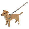 Harness Wild Life brwon   50-80cm/25mm