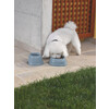 Plastic Bowl 2x400ml  colour assorted