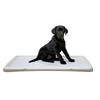 Toilettes pour chiots XL 60X90cm