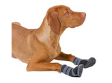 Chaussures pour chien Active gris/noir  taille XS