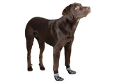 Dog Socks Susi size XL