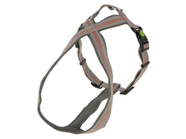 Harnais Xenos gris/rouge  30-40cm  15mm