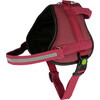 Harness Maestro 2.0  burgundy 30mm x72-103cm  w Address Tube