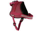 Harness Maestro 2.0  burgundy 38mm x83-113cm  w Address Tube