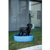 Piscine pour chien Bubble bleu  O80cm  100L