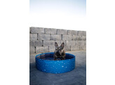 Hondenzwembad Bubble  120x120x 30 cm  blauw
