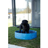 Hondenzwembad Bubble  120x120x 30 cm  blauw