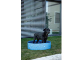 Hondenzwembad Bubble  120x120x 30 cm  blauw