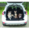 Car Boot protection