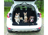 Car Boot protection