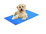 Cooling mat  Comfort 