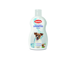 Coconut Shampoo