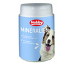 Minerals Dog