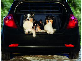 Security grid for cars  2 fixation options