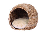 Cave  LASA 