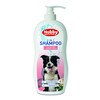2 in 1 Shampoo