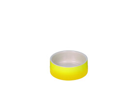 Ceramic bowl  Gradient 