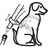 Seatbelt and Short leash