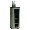 Cat scratch barrel  CAPTA IV 
