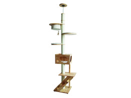 Cat-scratcher  ALTAI 
