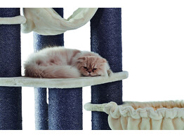 Arbre a chat  CHILO 