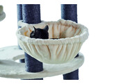 Cat-scratcher  ARDA 