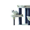 Cat-scratcher  ARDA 