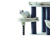 Cat-scratcher  ARDA 