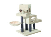 Cat-scratcher  TARSUS 